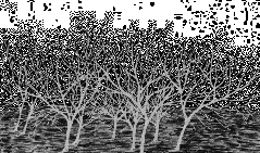 A bat, or perhaps an umbrella...